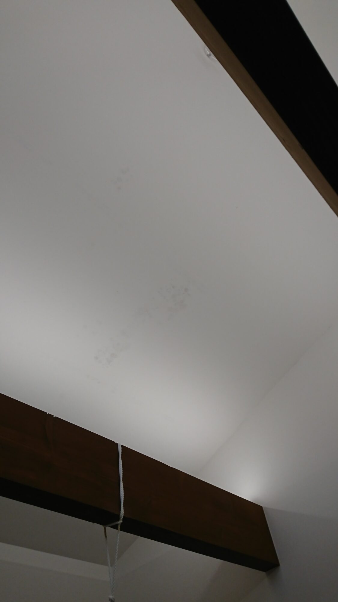 アフリスペック住宅診断　築５年程の勾配天井に見られた水染み跡